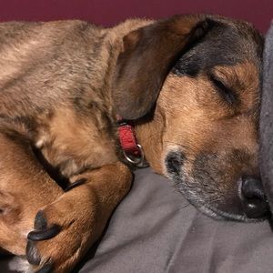 Meet your Posher, Nina